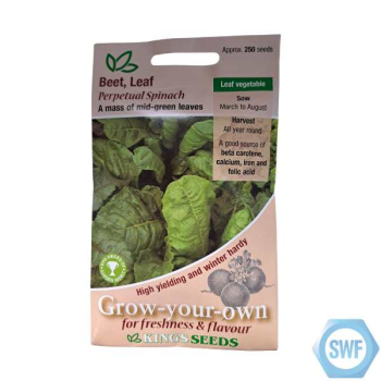 LEAF BEET PERPETUAL SPINACH RH S AGM SEEDS LEAF BEET PERPETUAL SPINACH RH S AGM SEEDS